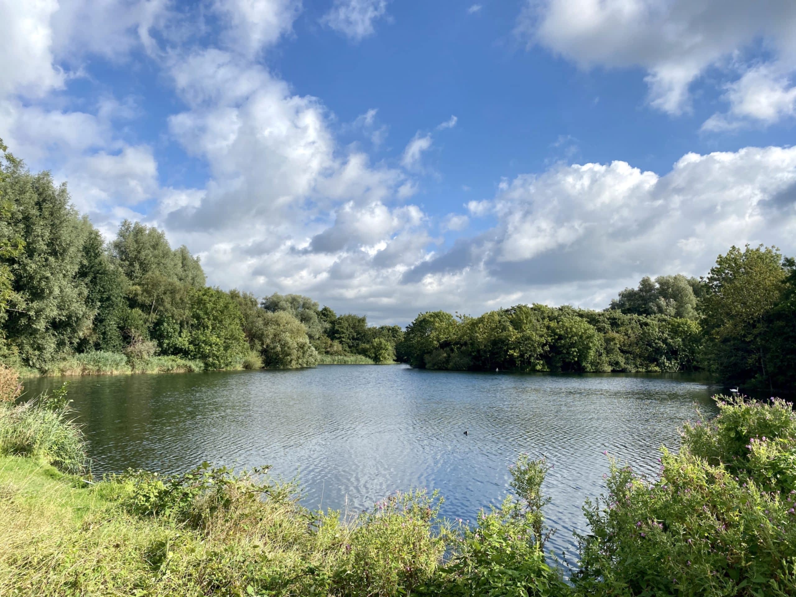 Zevenhuizerplas